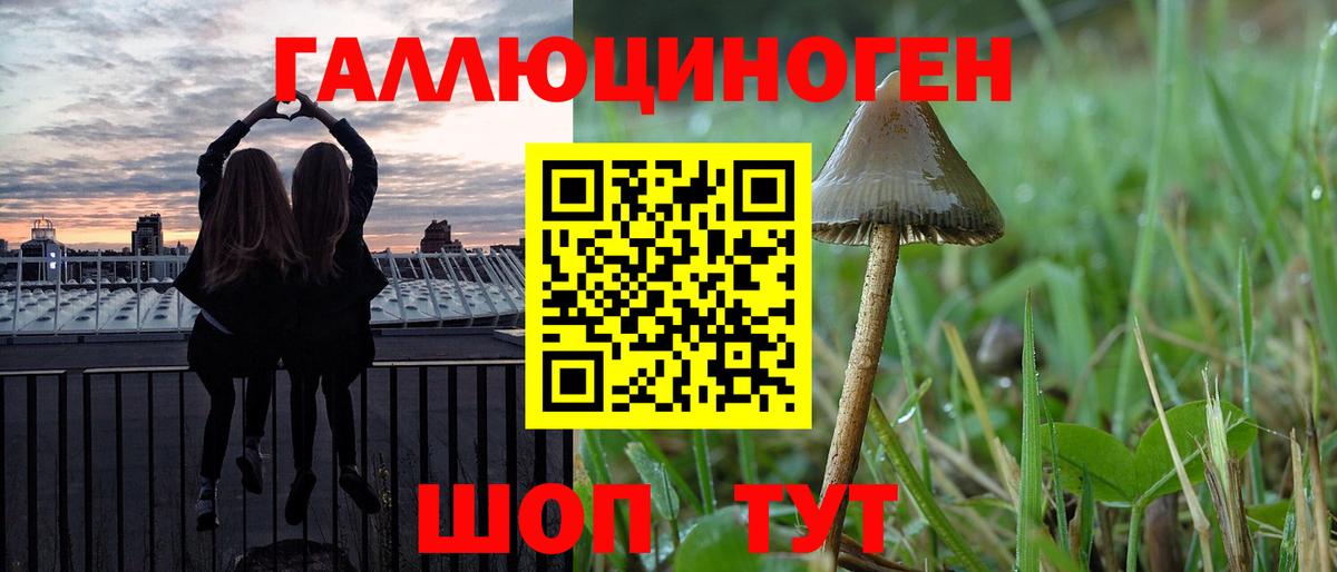 Галлюциногенные грибы MAGIC MUSHROOMS Каменка