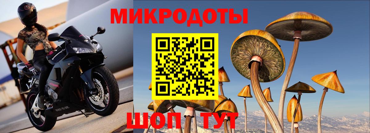 купить   Галлюциногенные грибы мухоморы  Каменка  Вход с VPN  Галлюциногенные грибы прущие грибы 